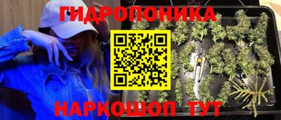 MDMA Будённовск